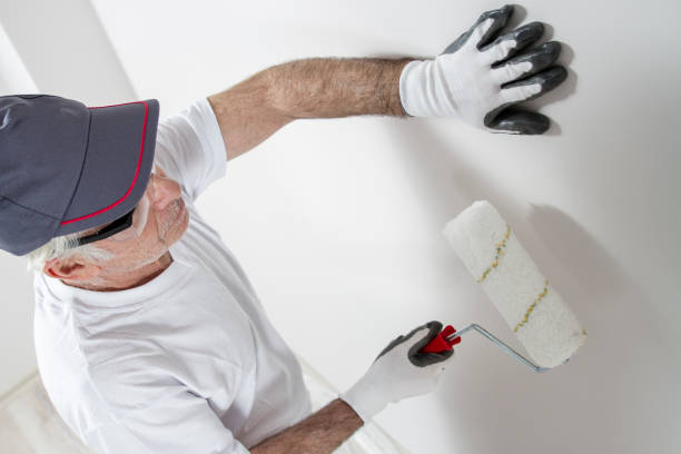 Best Repainting for Renovations  in Rolling Meadows, IL